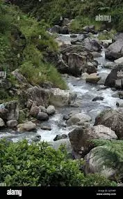 Ruisseau d'Avrecourt