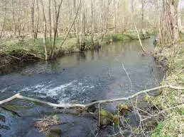 Renniger Scheigraben