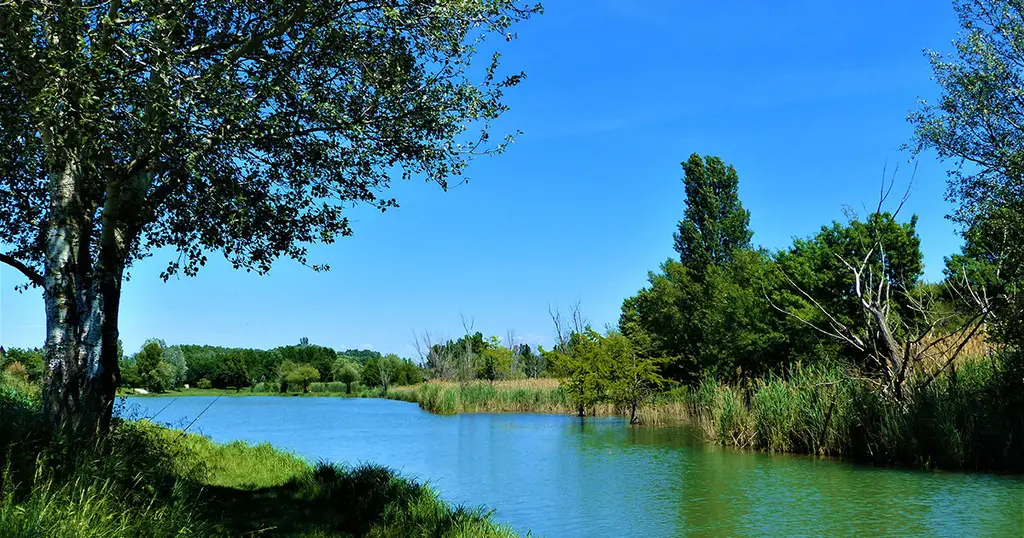 Etang Marceau