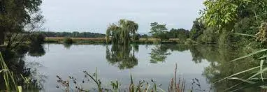 Etangs d'Oberschaeffolsheim