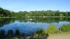 Etang du Blauesland