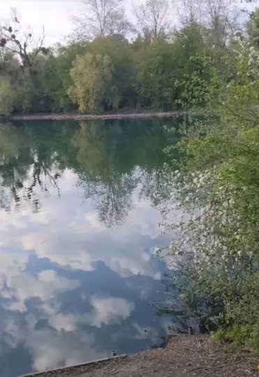 Gravière du Balstein