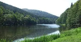 Etang du Fleckenstein