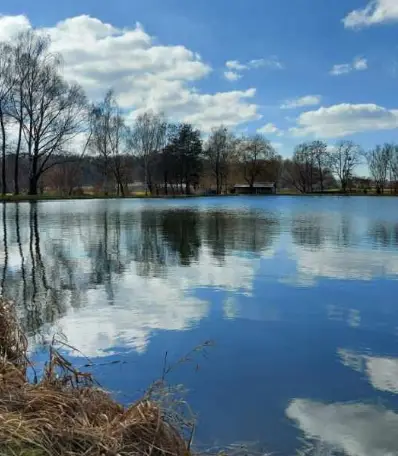Etang des Cygnes Mertzwiller