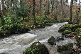 Ruisseau de la Ragotière