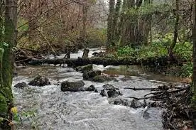 Ruisseau de la Gueuselinais