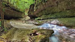 Ruisseau de la Berterie