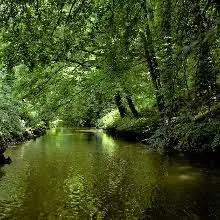 Ruisseau de la Morinière