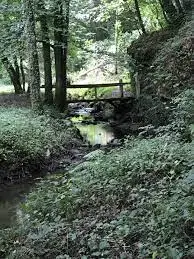 Ruisseau de la Chesnelière