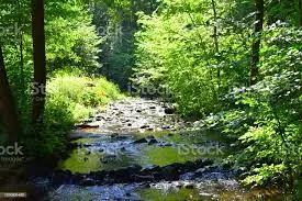 Ruisseau de Bas Bois