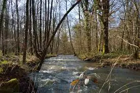 Ruisseau de Saint Ursin