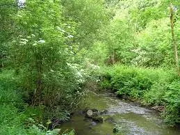 Ruisseau de la Blandinière