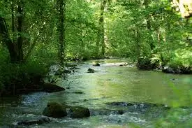 Ruisseau de la Dorière