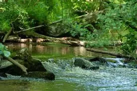 Ruisseau de l'Etre aux lois