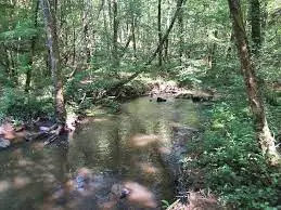 Ruisseau de la Trébuchère