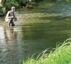 Ruisseau de la Salle Verte