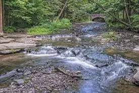 Ruisseau de la Simonière