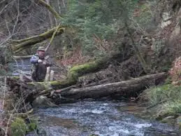 Ruisseau des Nayères