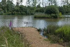 Etang des Pins