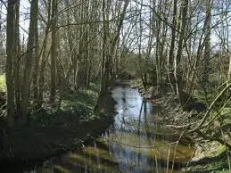 Ruisseau de Bairon