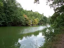 Ruisseau de la Morinière