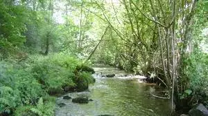 Ruisseau de Morton