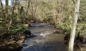 Ruisseau de la Savenière