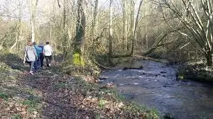 Ruisseau des Papinais