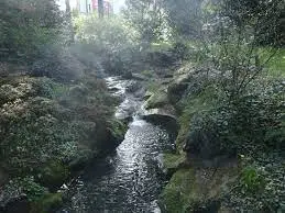 Ruisseau de la Guédonnire