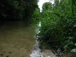 Ruisseau des Aulnais