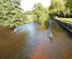 Ruisseau du Pont Malabry