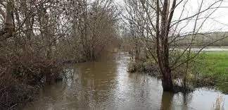 Ruisseau de la Guitonnerie