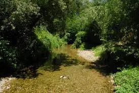 Ruisseau de la Papelonnière