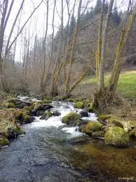 Ruisseau du Prieuré