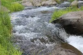 Ruisseau de la Jarriais