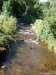 Ruisseau du Vieux Moulin
