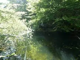 Ruisseau des Echanlières