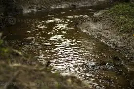 Ruisseau de la Morinière