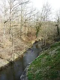 Ruisseau du Guy Bouttier