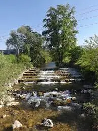 Ruisseau de la Prée Neuve