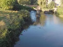 Ruisseau de l'Ansaudière