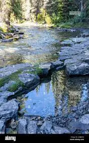 Ruisseau des Senonnettes