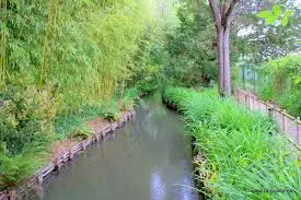 Ruisseau de la Liserie