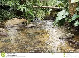 Ruisseau de Chanteil