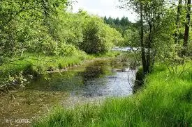 Ruisseau de la vallée