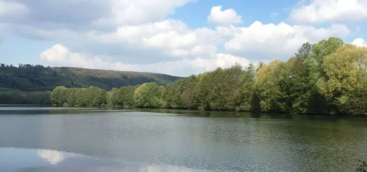 Etang fédéral de Maron-Chaligny