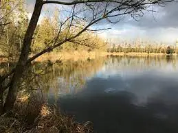Etang du Nil