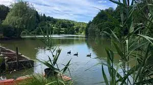 Etang sous Sainte Anne