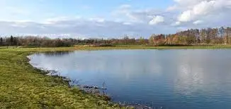 Etang de la Grenouille