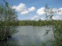 Etang du Bois des Aulnaies